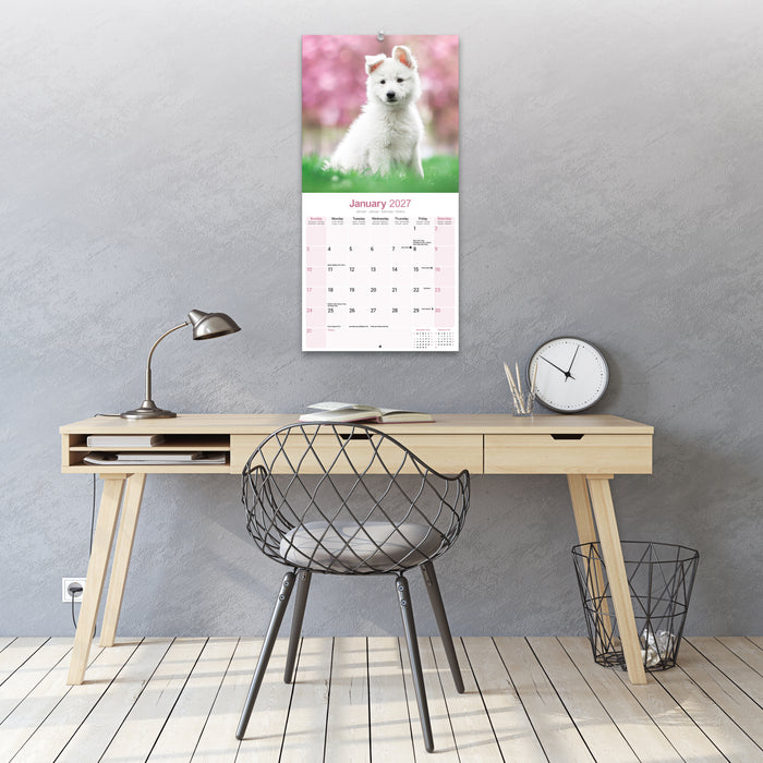 White Shepherd 2027 Square Wall Calendar