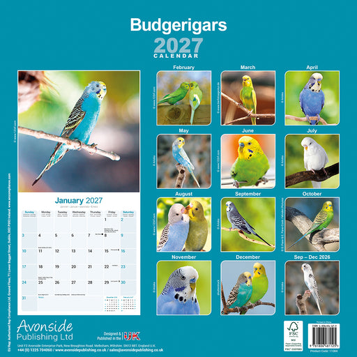 Budgerigar 2027 Square Wall Calendar