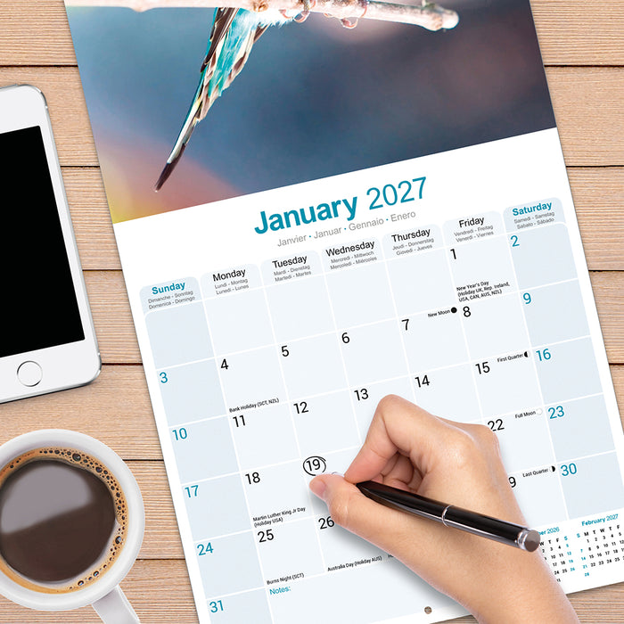 Budgerigar 2027 Square Wall Calendar