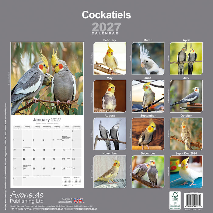 Cockatiels 2027 Square Wall Calendar