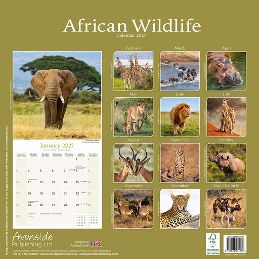 African Wildlife 2027 Square Wall Calendar
