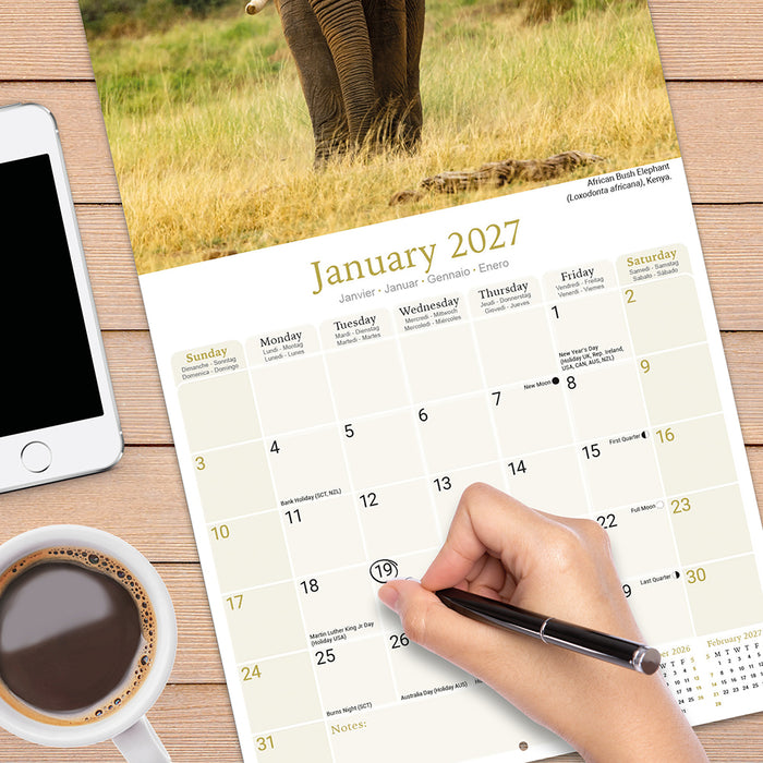 African Wildlife 2027 Square Wall Calendar