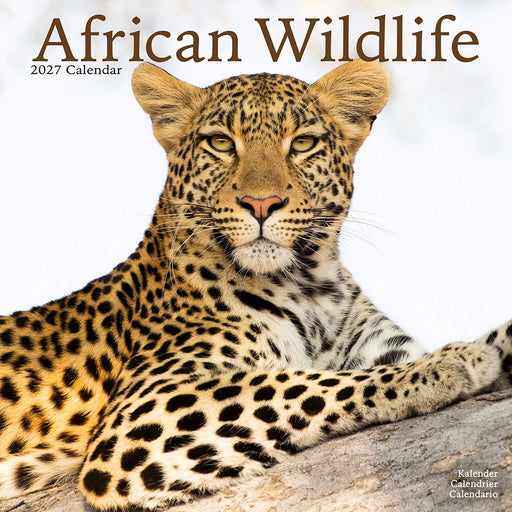 African Wildlife 2027 Square Wall Calendar