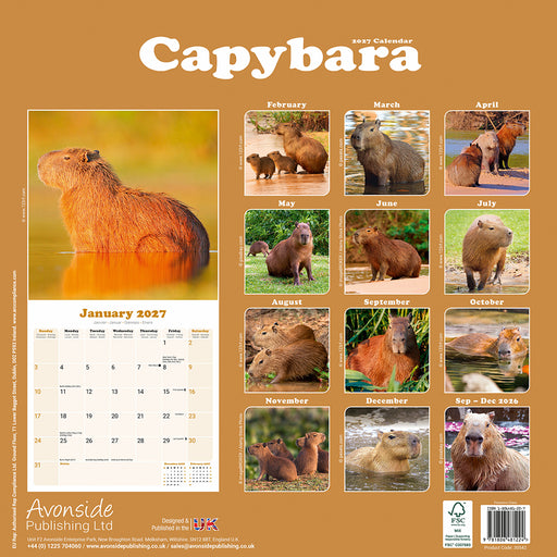 Capybara 2027 Square Wall Calendar