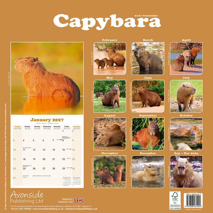 Capybara 2027 Square Wall Calendar