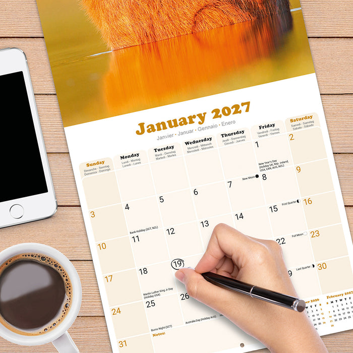 Capybara 2027 Square Wall Calendar