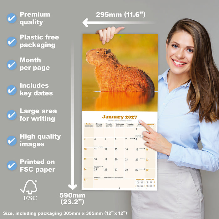 Capybara 2027 Square Wall Calendar