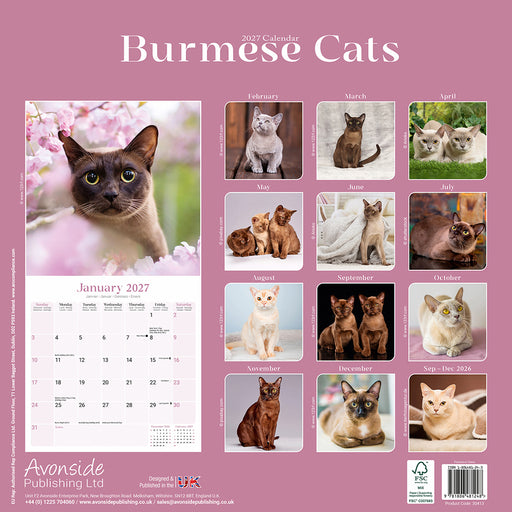 Burmese Cats 2027 Square Wall Calendar