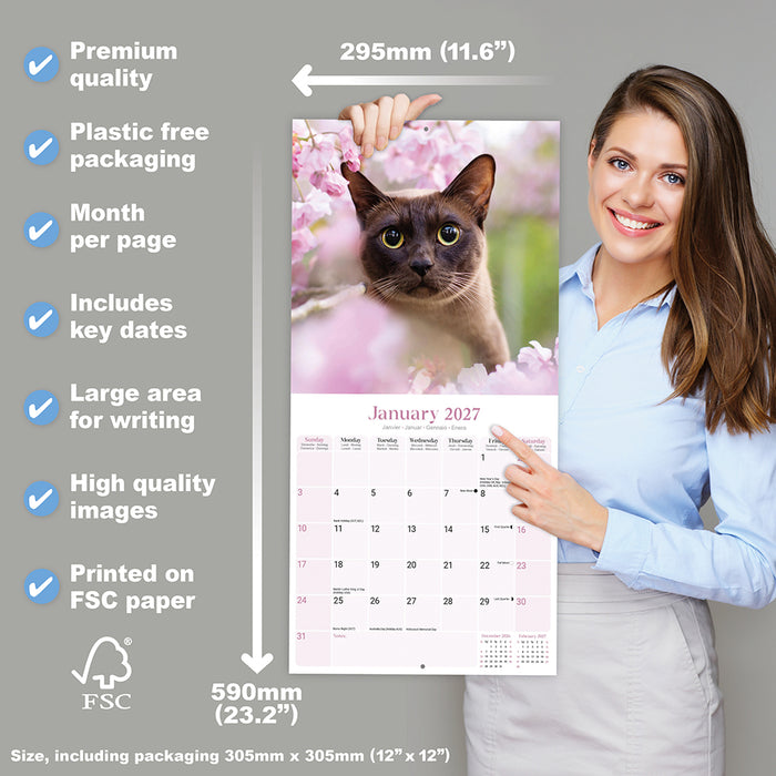Burmese Cats 2027 Square Wall Calendar