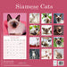 Siamese Cats 2027 Square Wall Calendar