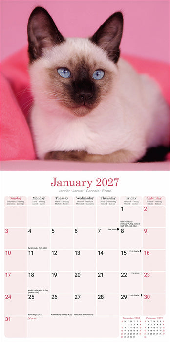 Siamese Cats 2027 Square Wall Calendar