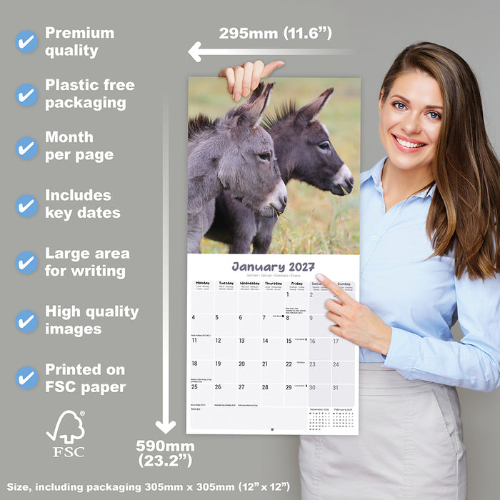 Donkeys 2027 Square Wall Calendar