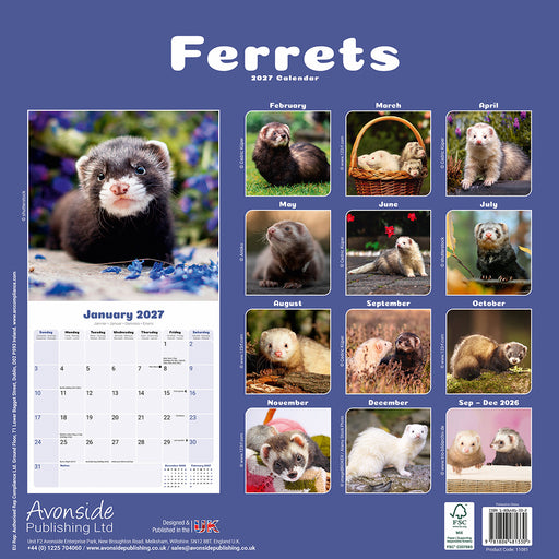Ferrets 2027 Square Wall Calendar