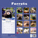 Ferrets 2027 Square Wall Calendar