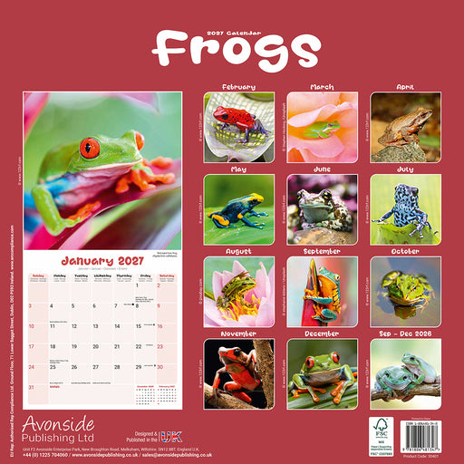 Frogs 2027 Square Wall Calendar