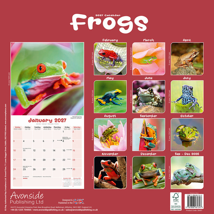 Frogs 2027 Square Wall Calendar