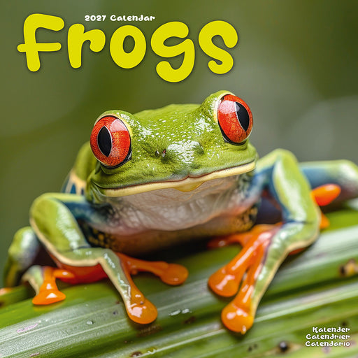 Frogs 2027 Square Wall Calendar