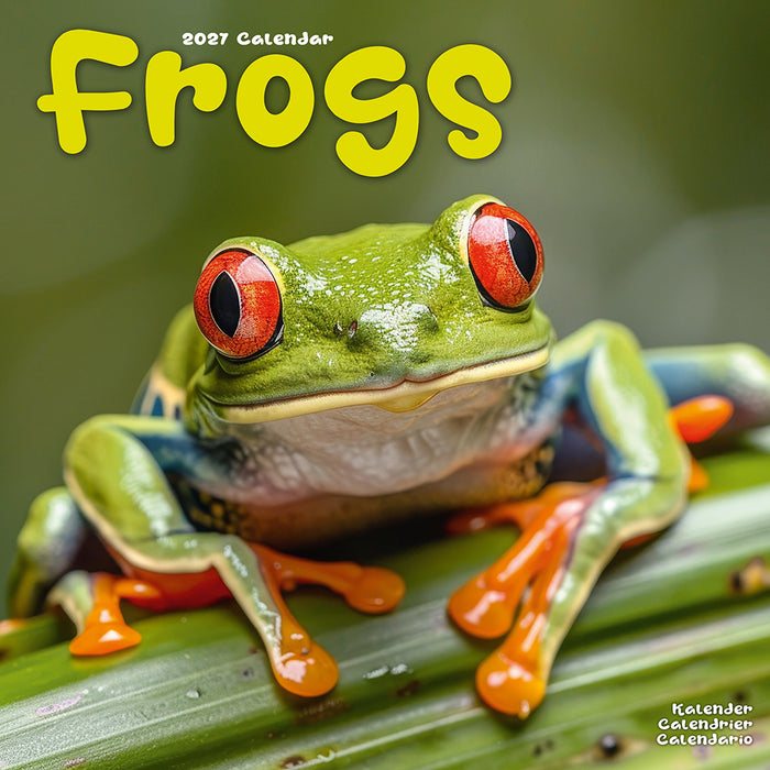 Frogs 2027 Square Wall Calendar