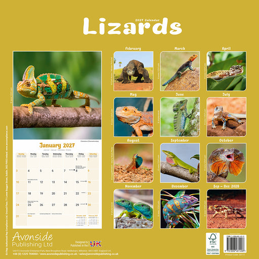 Lizards 2027 Square Wall Calendar