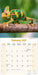 Lizards 2027 Square Wall Calendar