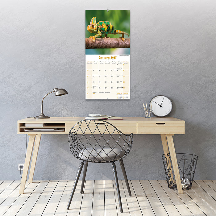 Lizards 2027 Square Wall Calendar