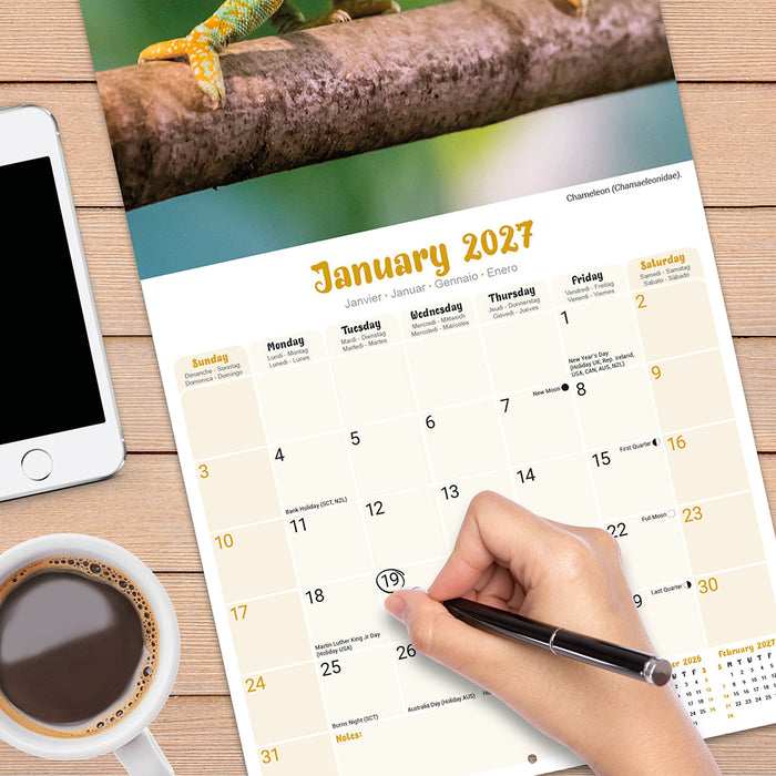 Lizards 2027 Square Wall Calendar