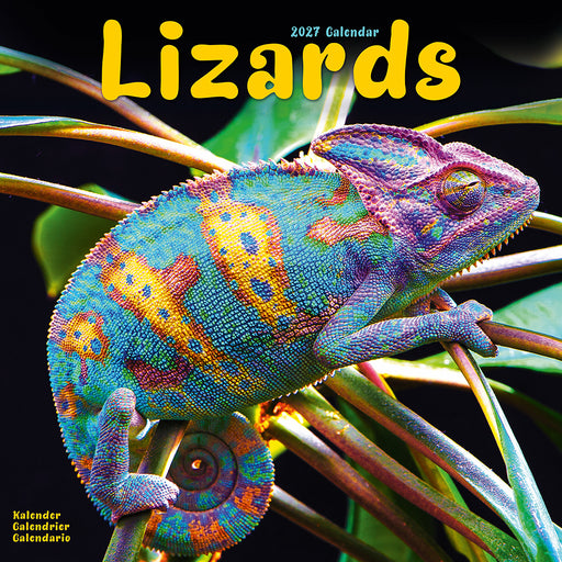 Lizards 2027 Square Wall Calendar