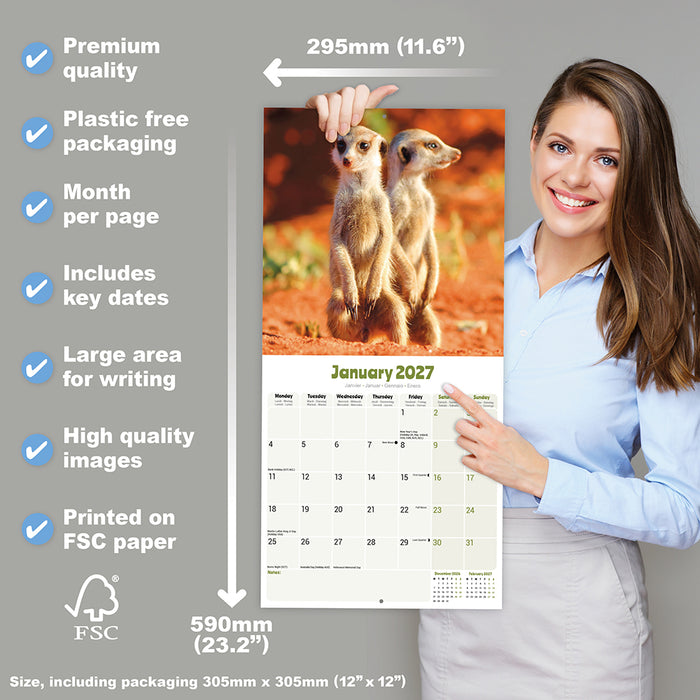 Meerkats 2027 Square Wall Calendar