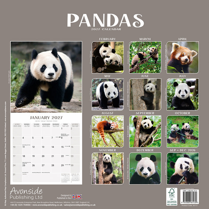 Pandas 2027 Square Wall Calendar