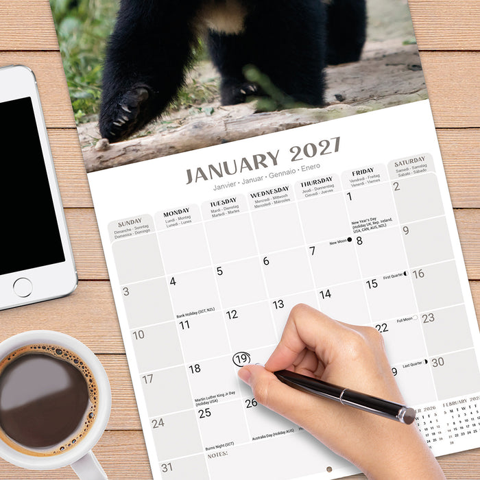 Pandas 2027 Square Wall Calendar