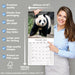 Pandas 2027 Square Wall Calendar