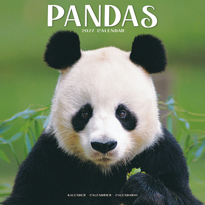 Pandas 2027 Square Wall Calendar