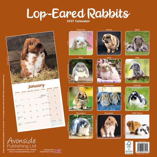 Rabbits Lop Eared 2027 Square Wall Calendar