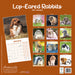 Rabbits Lop Eared 2027 Square Wall Calendar