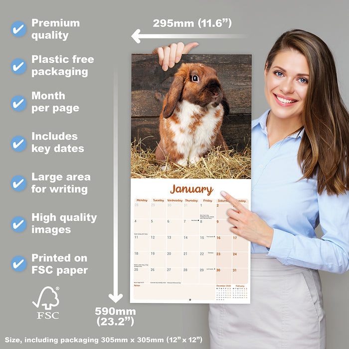 Rabbits Lop Eared 2027 Square Wall Calendar