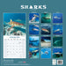 Sharks 2027 Square Wall Calendar