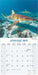 Sharks 2027 Square Wall Calendar