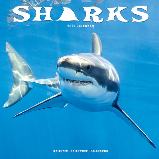 Sharks 2027 Square Wall Calendar