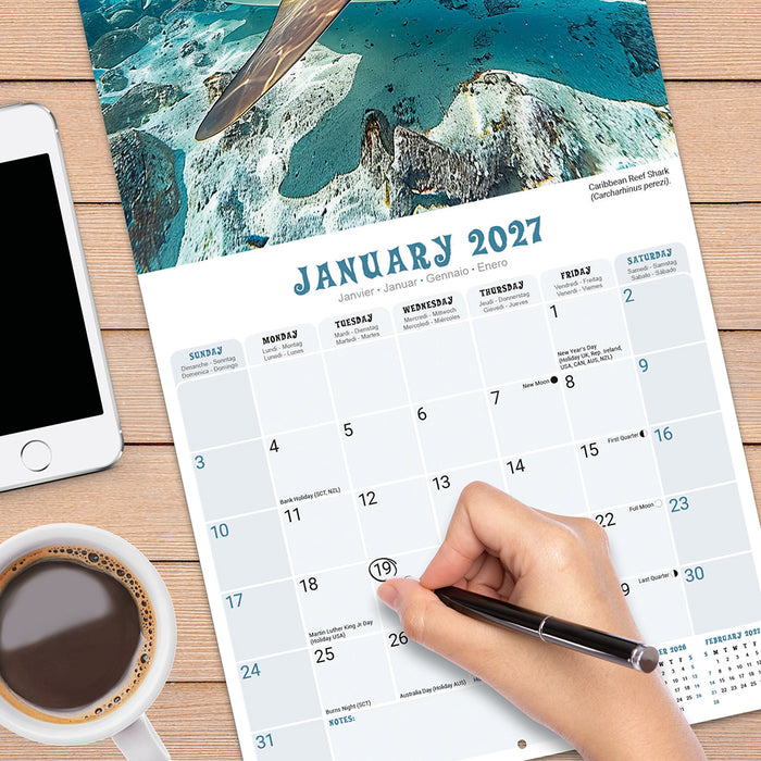 Sharks 2027 Square Wall Calendar
