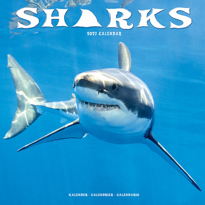 Sharks 2027 Square Wall Calendar