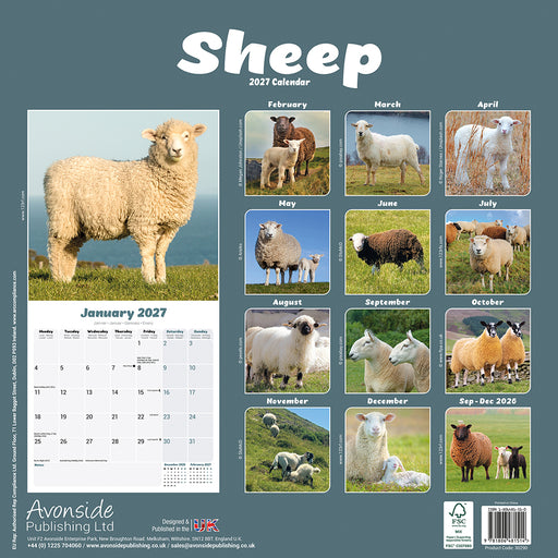 Sheep 2027 Square Wall Calendar