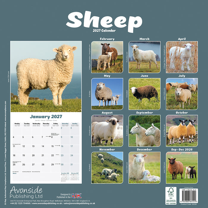 Sheep 2027 Square Wall Calendar