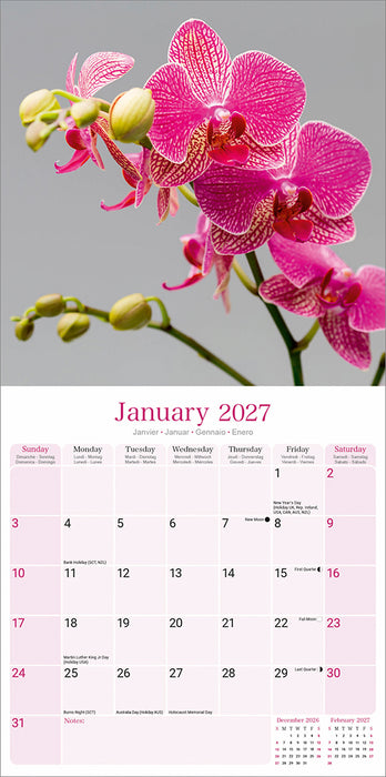 Orchids 2027 Square Wall Calendar