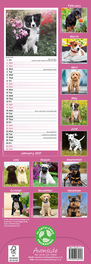Puppies 2027 Slimline Wall Calendar
