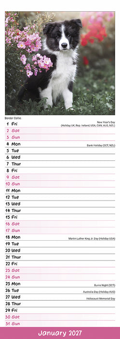 Puppies 2027 Slimline Wall Calendar