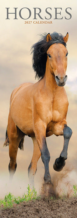 Horses 2027 Slimline Wall Calendar