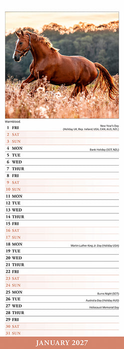 Horses 2027 Slimline Wall Calendar