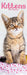 Kittens 2027 Slimline Wall Calendar