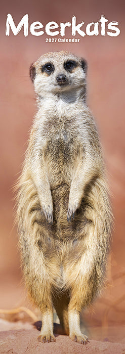 Meerkats 2027 Slimline Wall Calendar