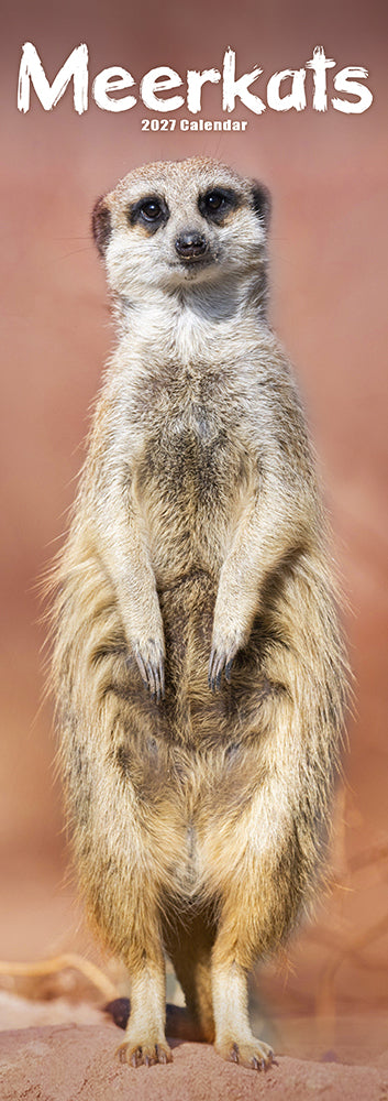 Meerkats 2027 Slimline Wall Calendar